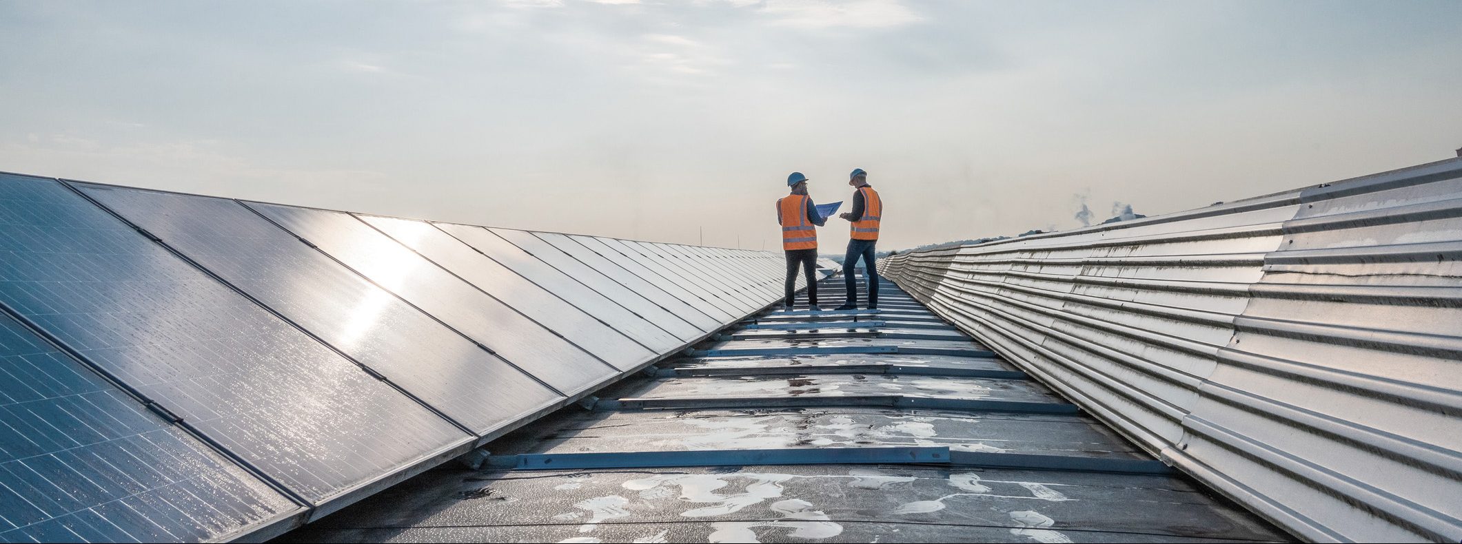 two-technicians-in-distance-discussing-between-long-rows-of-photovoltaic-panels
